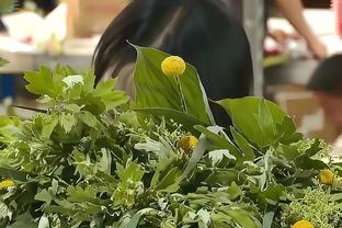 雷竞技没有苹果版吗